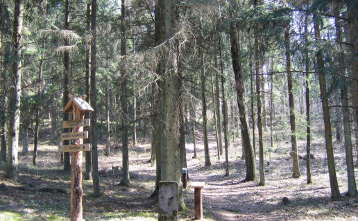 54_Mikytu tako pradzia. D.Abrutes n.jpg